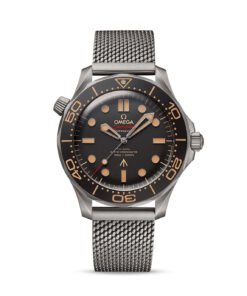 Seamaster Diver 300M 42 mm, titanium on titanium