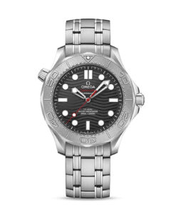 Seamaster Diver 300M 42 mm, steel on steel