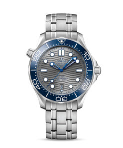 Seamaster Diver 300M 42 mm, steel on steel