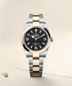 Alternative view of Rolex Explorer 36 Oyster, 36 mm, Oystersteel and yellow gold