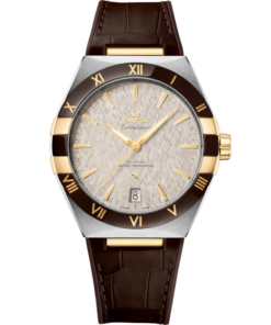 Constellation 41 mm, steel ‑ yellow gold on leather strap