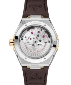 Alternative view of Constellation 41 mm, steel ‑ yellow gold on leather strap