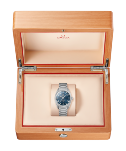 Alternative view of Constellation Globemaster 39 mm, steel on steel