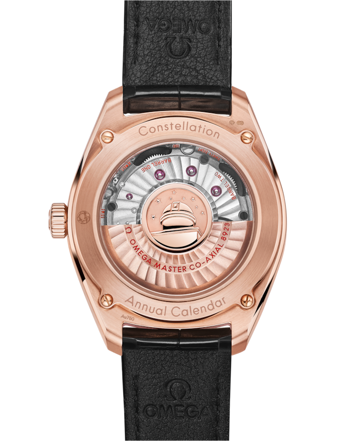 Constellation Globemaster 41 mm, Sedna™ gold on leather strap – Bild 2