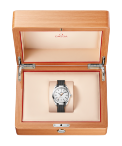 Alternative view of Seamaster Aqua Terra 150M 41 mm, steel on rubber strap