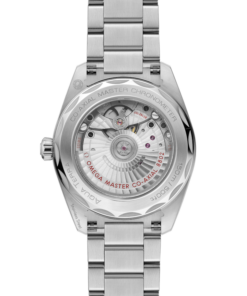 Vue alternative de Seamaster Aqua Terra 150M 38 mm, steel on steel