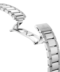 Vue alternative de Seamaster Aqua Terra 150M 38 mm, steel on steel