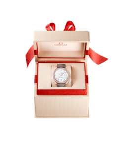 Vue alternative de Seamaster Aqua Terra 150M 38 mm, Sedna™ gold on leather strap