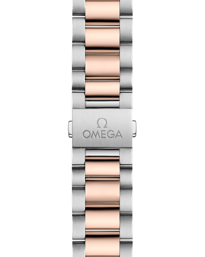 Seamaster Aqua Terra 150M 41 mm, steel ‑ Sedna™ gold on steel - Image 4