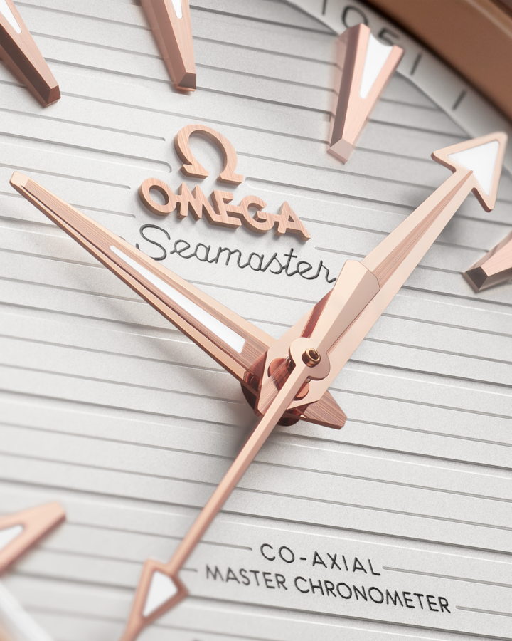 Seamaster Aqua Terra 150M 41 mm, steel ‑ Sedna™ gold on steel - Image 3
