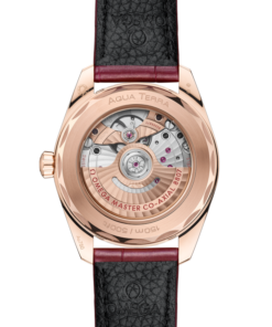 Vue alternative de Seamaster Aqua Terra 150M 38 mm, Sedna™ gold on leather strap