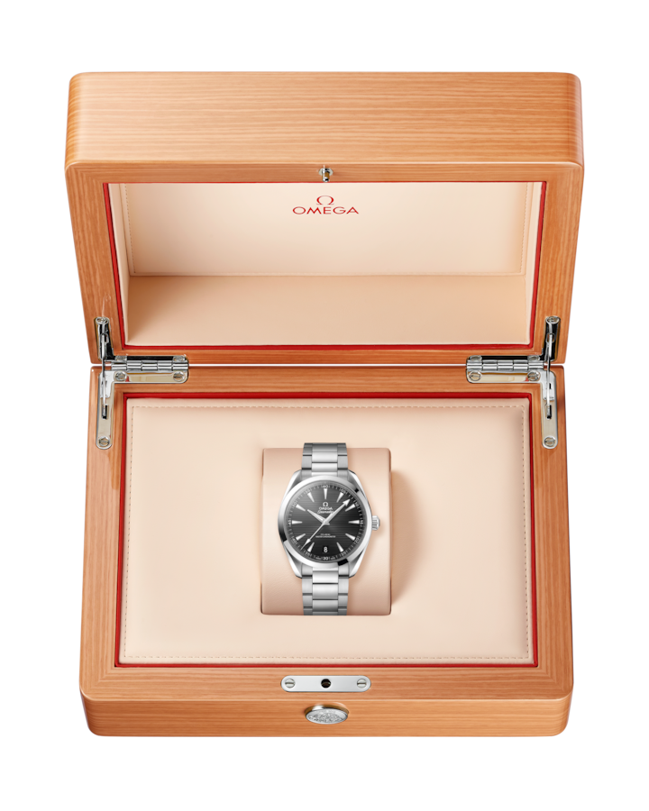 Seamaster Aqua Terra 150M 41 mm, steel on steel - Image 4