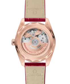 Vue alternative de Seamaster Aqua Terra 150M 38 mm, Sedna™ gold on leather strap