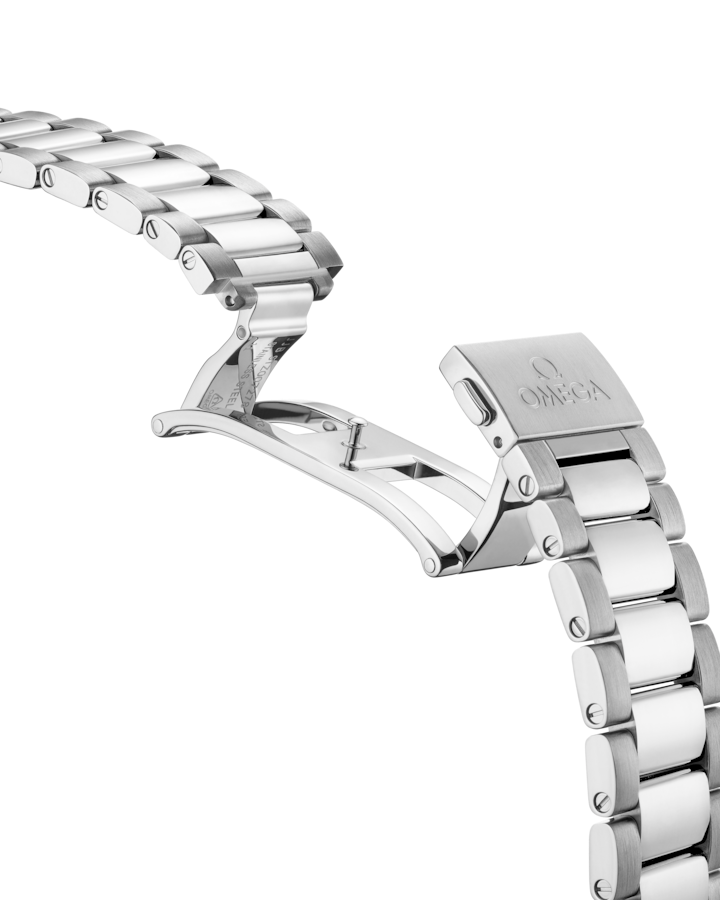 Seamaster Aqua Terra 150M 41 mm, steel on steel - Image 3