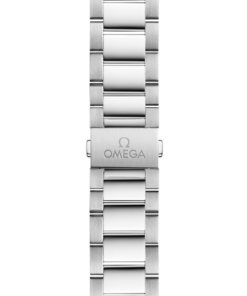 Alternative view of Seamaster Aqua Terra 150M 41 mm, steel on steel