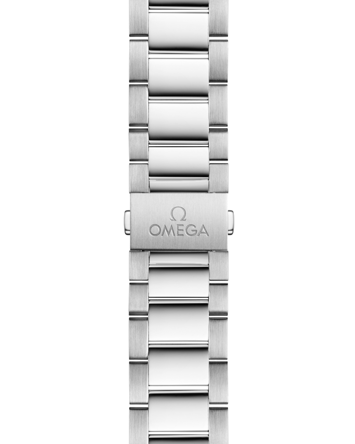 Seamaster Aqua Terra 150M 41 mm, steel on steel - Image 2