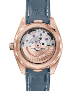 Vue alternative de Seamaster Aqua Terra 150M 41 mm, Sedna™ gold on rubber strap