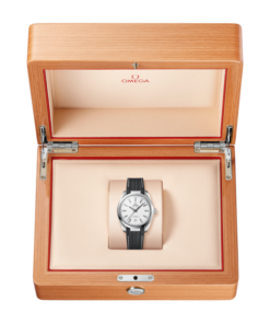 Alternative view of Seamaster Aqua Terra 150M 38 mm, steel on rubber strap