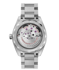 Alternative view of Seamaster Aqua Terra 150M 41 mm, steel on steel