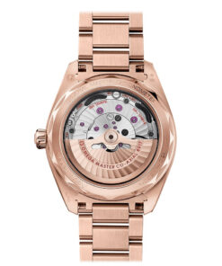 Alternative view of Seamaster Aqua Terra 150M 41 mm, Sedna™ gold on Sedna™ gold