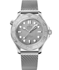 Seamaster Diver 300M 42 mm, steel on steel
