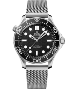 Seamaster Diver 300M 42 mm, steel on steel
