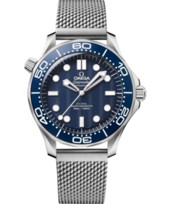Seamaster Diver 300M 42 mm, steel on steel