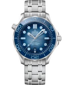 Seamaster Diver 300M 42 mm, steel on steel