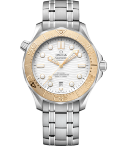 Seamaster Diver 300M 42 mm, steel on steel