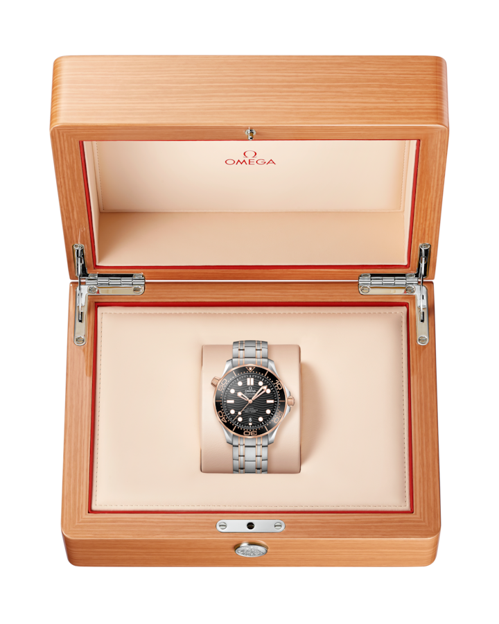 A- Seamaster Diver 300M 42 mm, steel ‑ Sedna™ gold on steel - Image 6