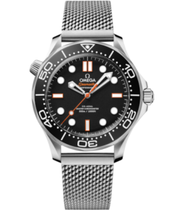 Seamaster Diver 300M 42 mm, steel on steel