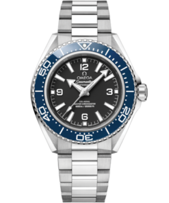 Seamaster Planet Ocean 600M 42 mm, steel on steel